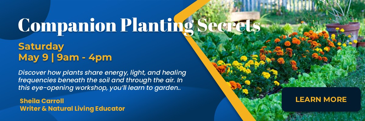 upcoming-emphasis-classes